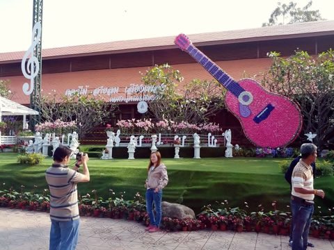 Bloemenpark met gitaarvormige bloemenkunst op het Chiang Rai Flower Festival