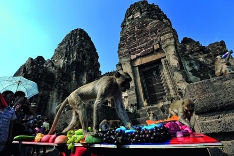 Apen en fruitoffers bij Prang Sam Yot in Lopburi